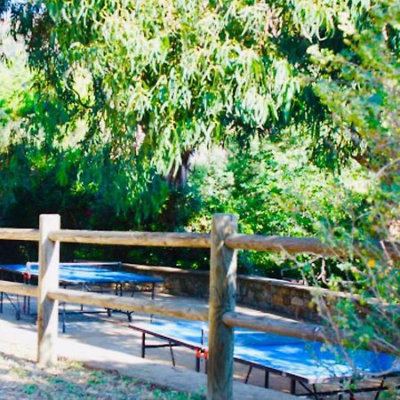Mazet « Domaine De La Pinede » Apartman Le Lavandou Kültér fotó
