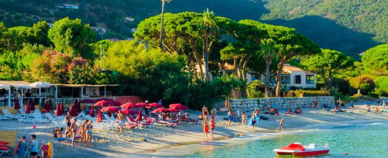 Mazet « Domaine De La Pinede » Apartman Le Lavandou Kültér fotó